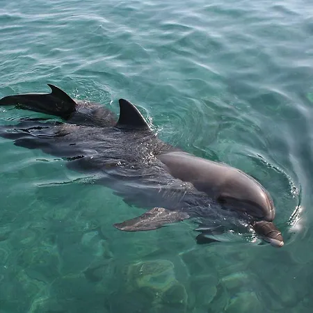 Mylove Appartement Porto Santo