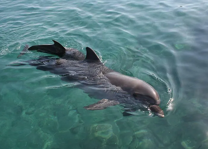 Mylove Apartament Porto Santo